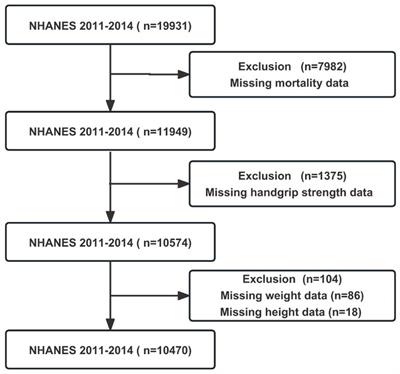 The association of handgrip strength with all-cause and cardiovascular mortality: results from the National Health and Nutrition Examination Survey database prospective cohort study with propensity score matching